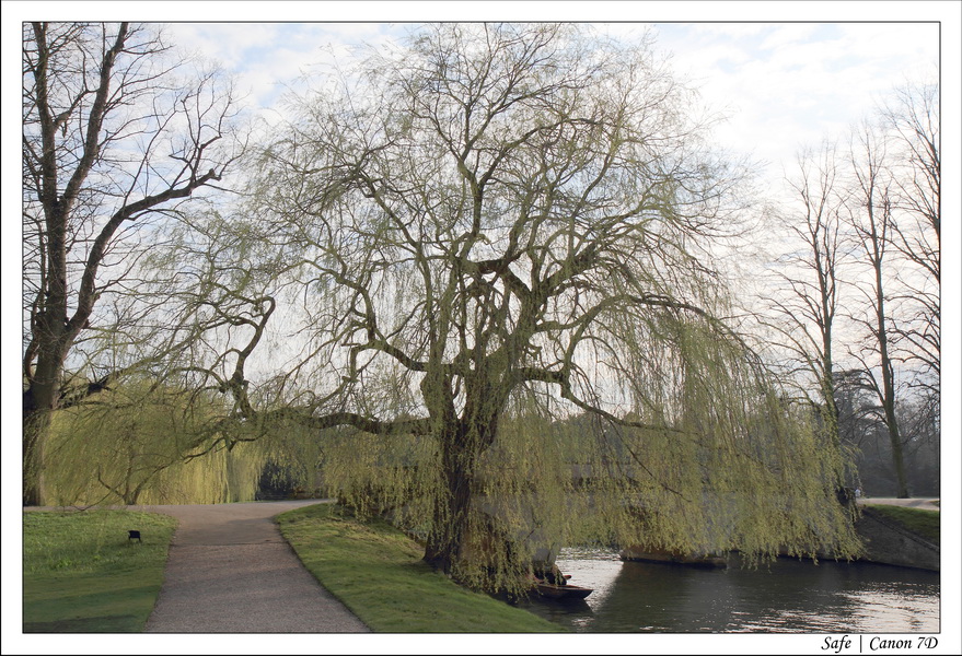 2011 - 03 - Cambridge 052